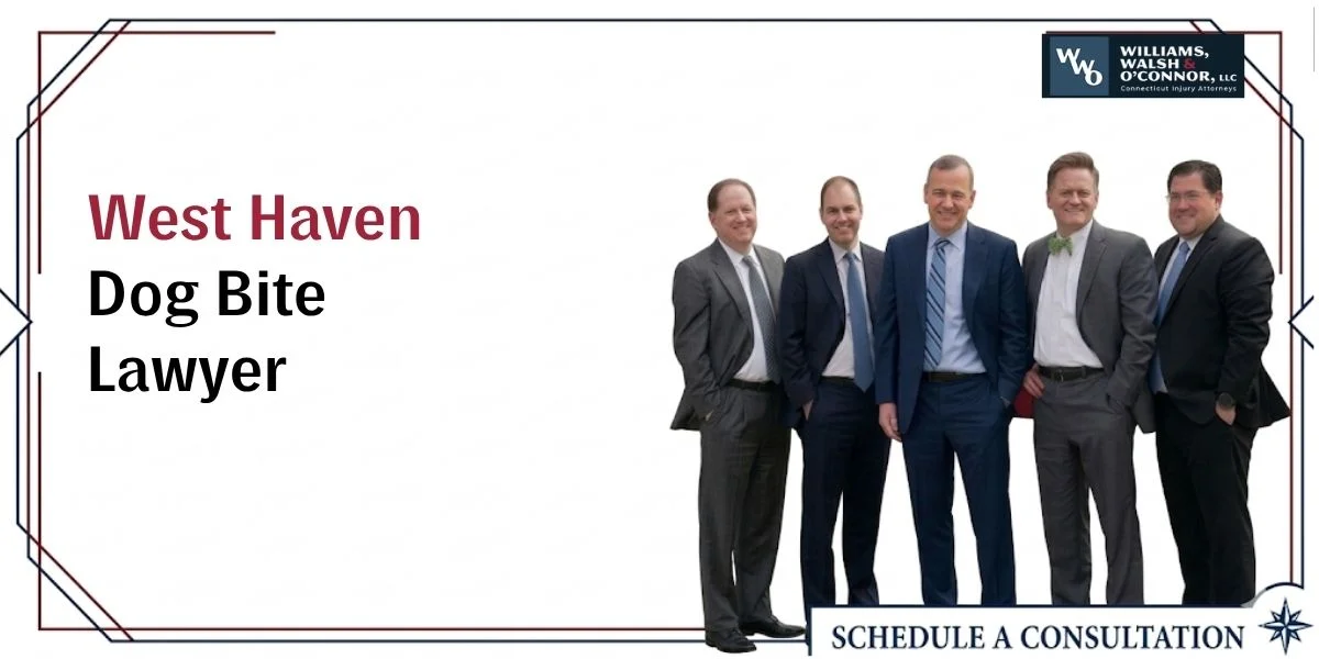west haven dog bite lawyer west haven dog bite lawyer